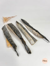 Salmon skin