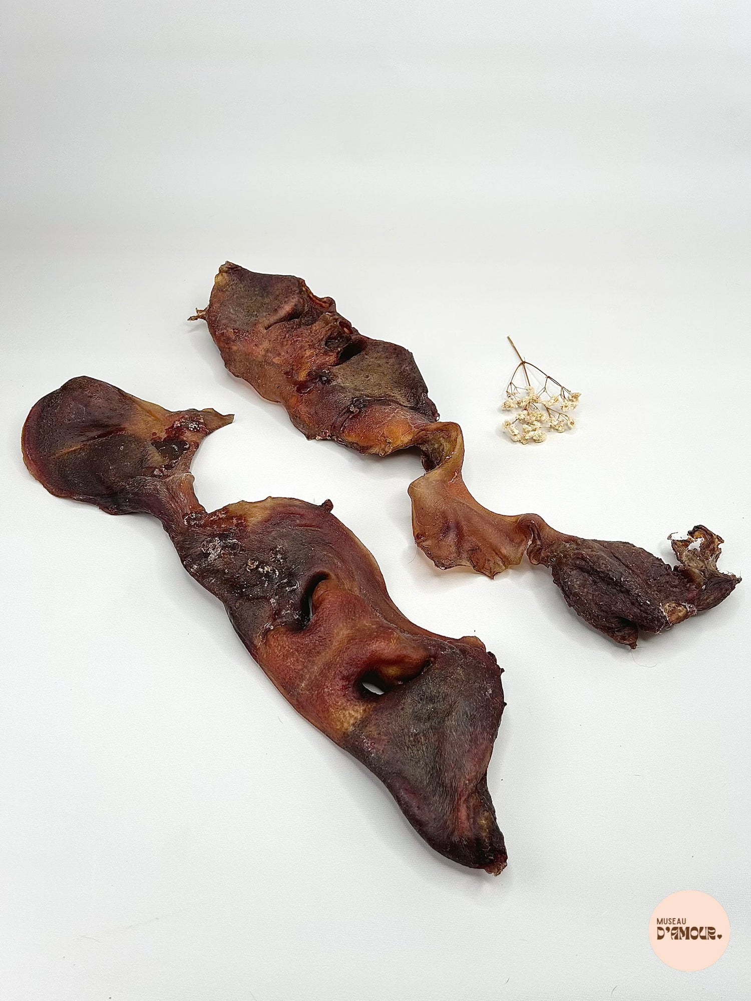 Museau de bœuf XXL