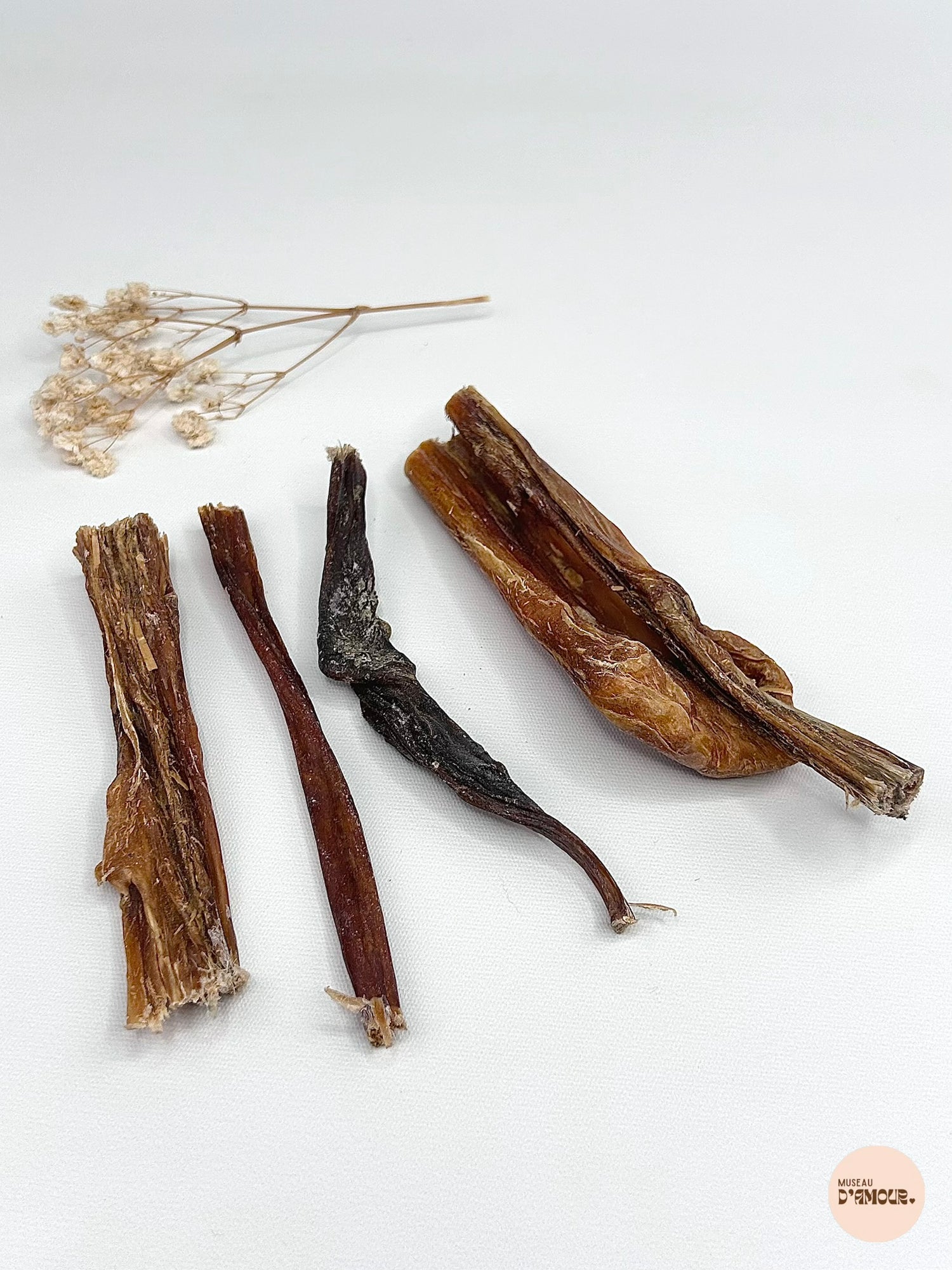 Panse de chameau