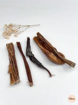 Panse de chameau