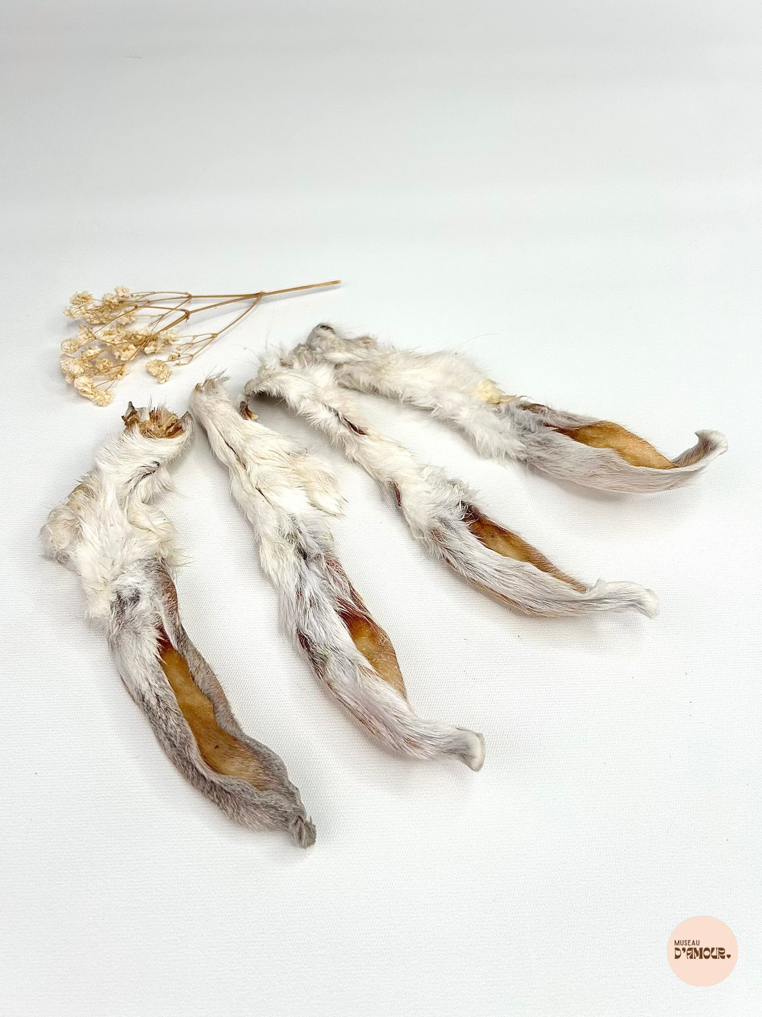 Oreille de lapin - avec poils