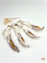Rabbit ear (with fur)