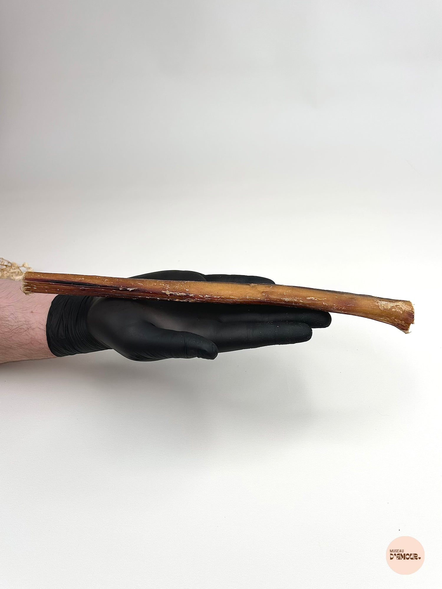 Beef sinew