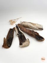 Horseskin (with hair)