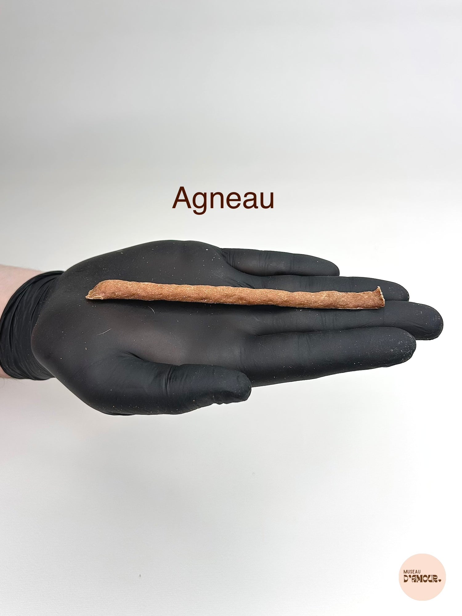 Stick de viande