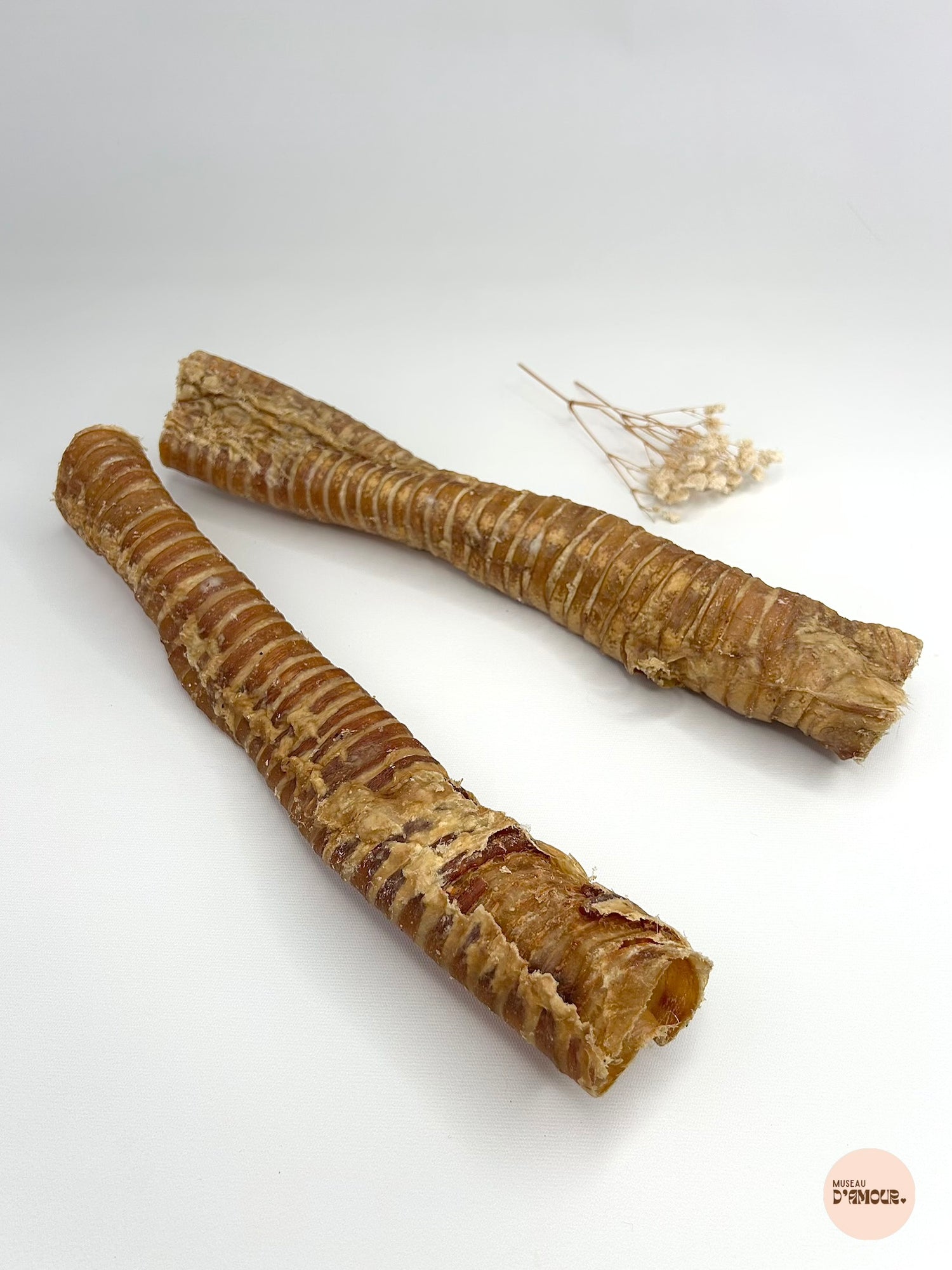Trachée de bœuf 30 cm