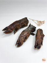 Boar's foot