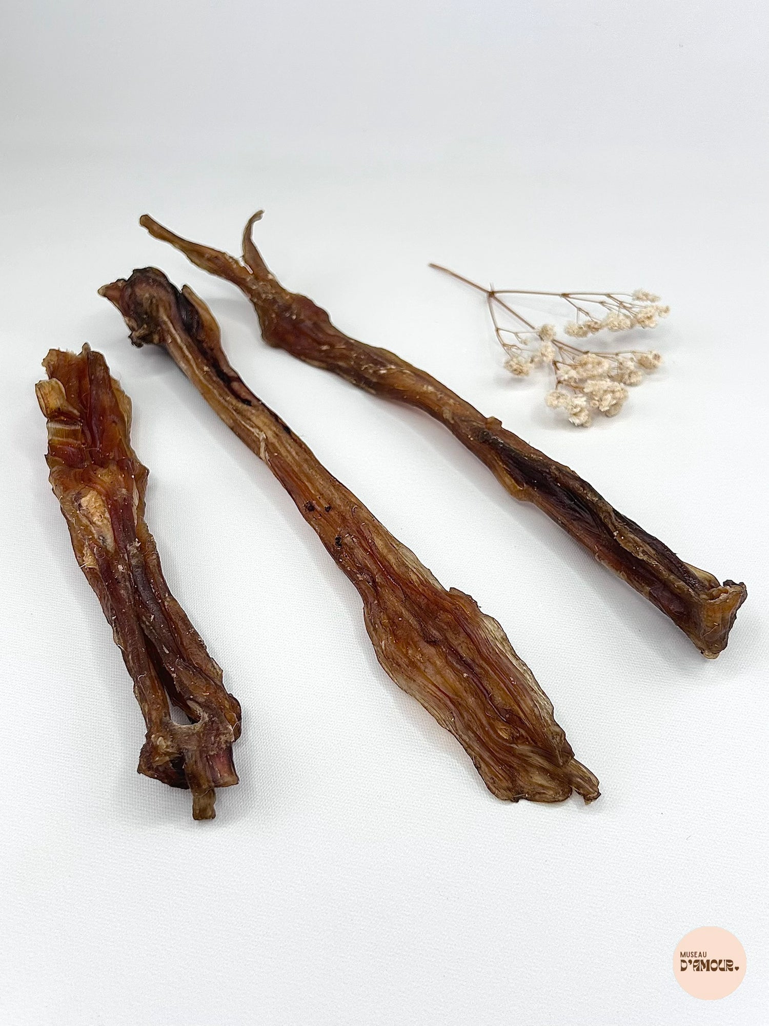 Tendon d'Achille de cerf